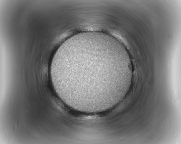 X0000084570306200703161727