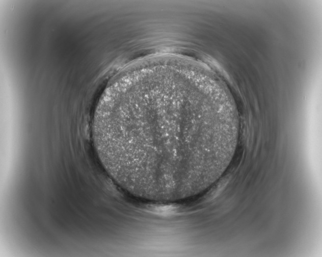 X0000084570313200703161727
