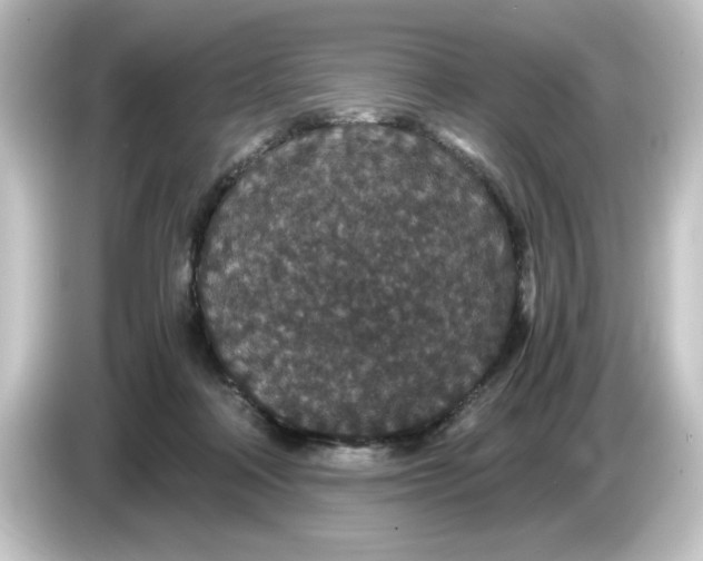 X0000084570314200703161727