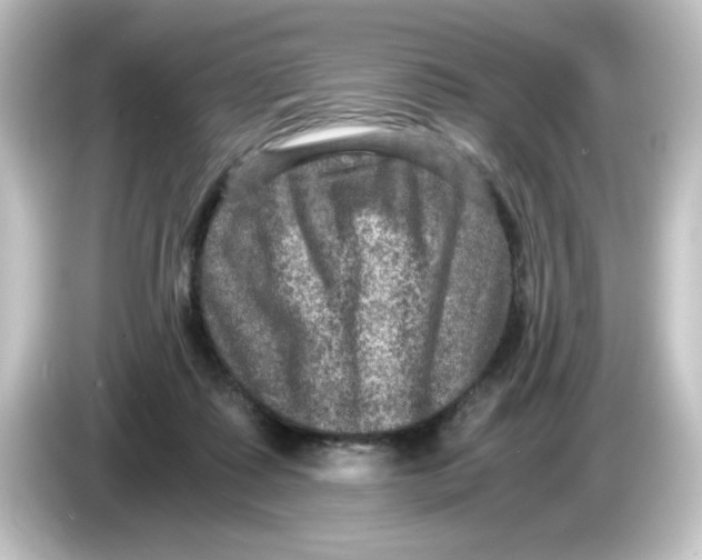 X0000084570315200703161727