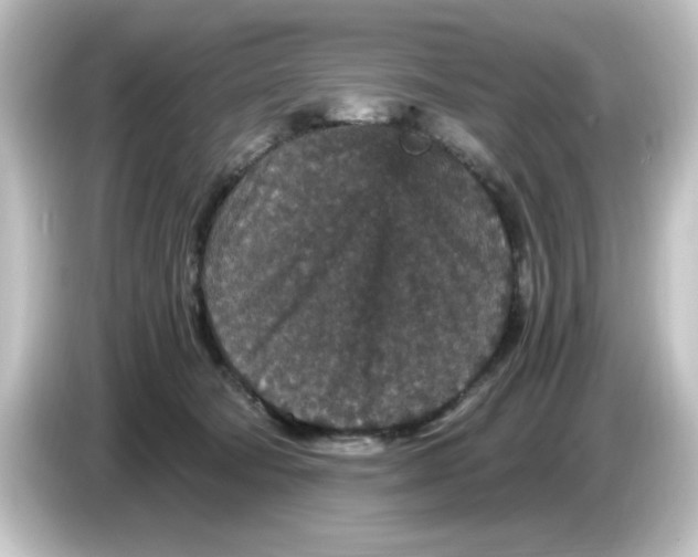 X0000084570322200703161727
