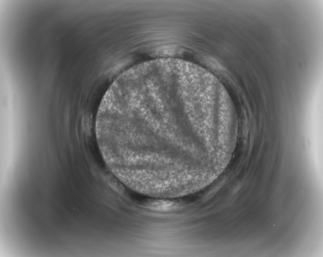 X0000084570326200703161727