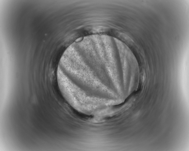 X0000084570327200703161727