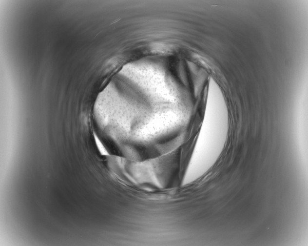 X0000084570329200703161727