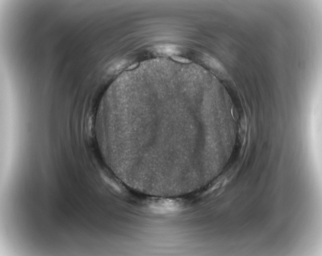X0000084570330200703161727