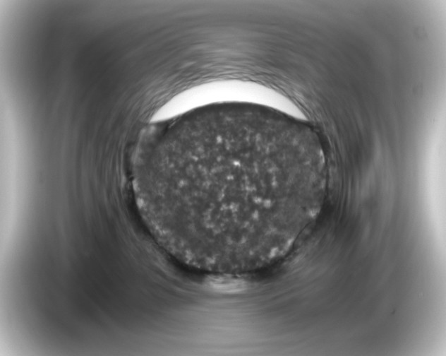 X0000084570331200703161727