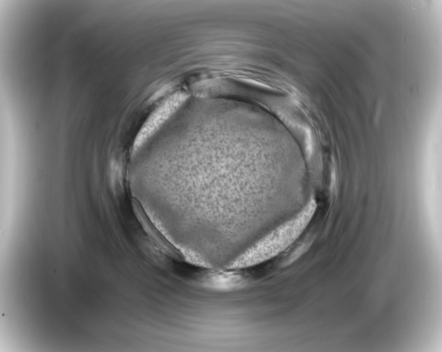 X0000084570333200703161727
