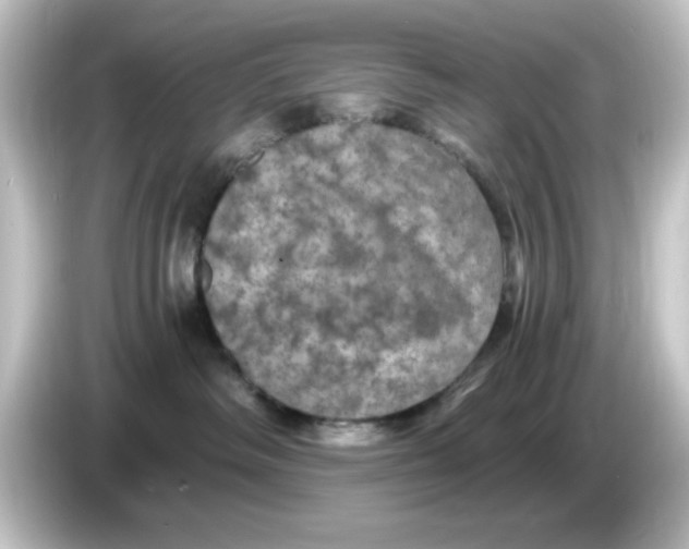 X0000084570334200703161727