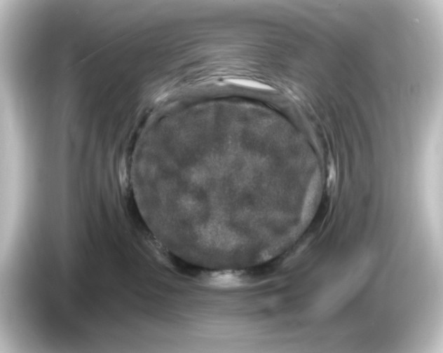 X0000084570335200703161727