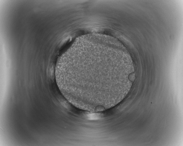 X0000084570336200703161727