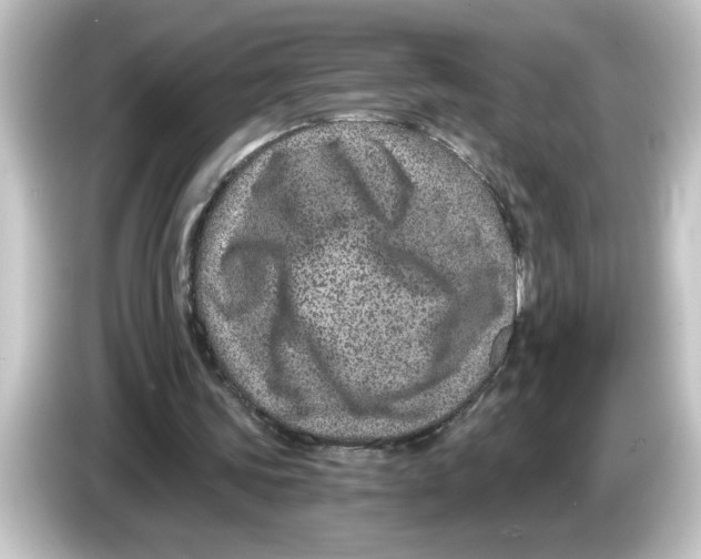X0000084570339200703161726