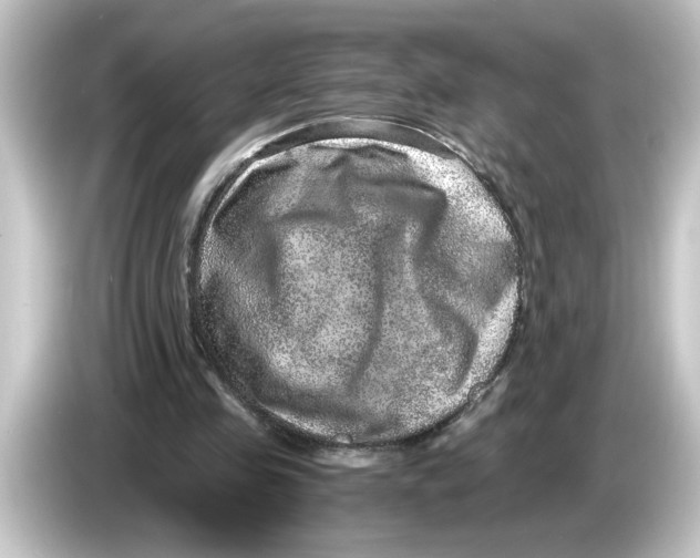 X0000084570341200703161726