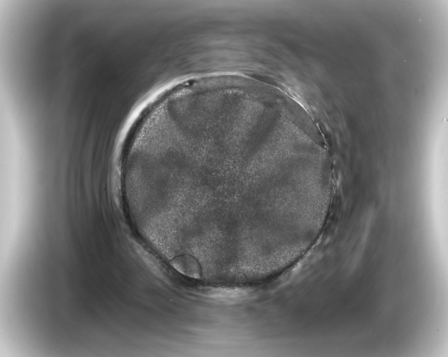 X0000084570342200703161726