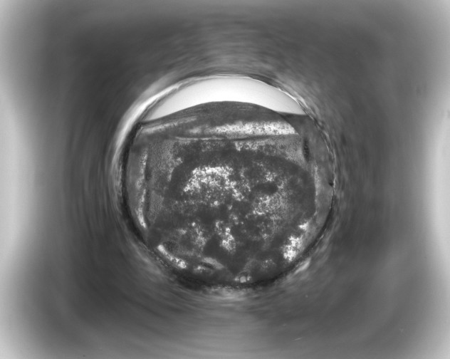X0000084570343200703161726