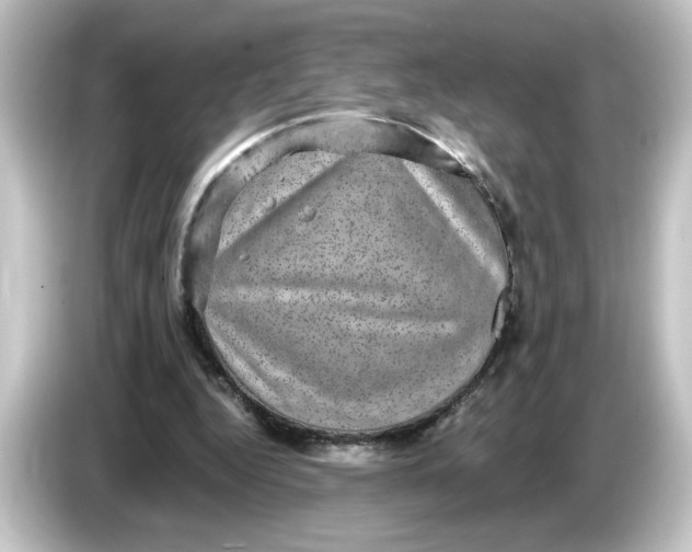 X0000084570344200703161726