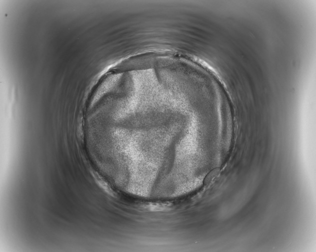 X0000084570345200703161726