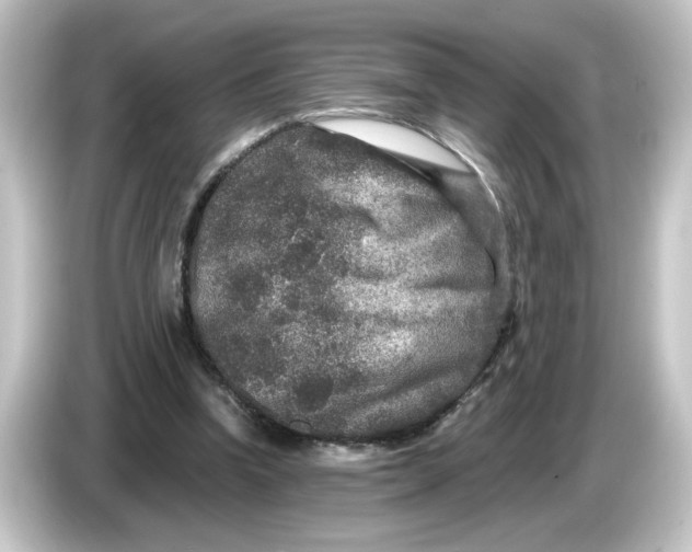 X0000084570346200703161726