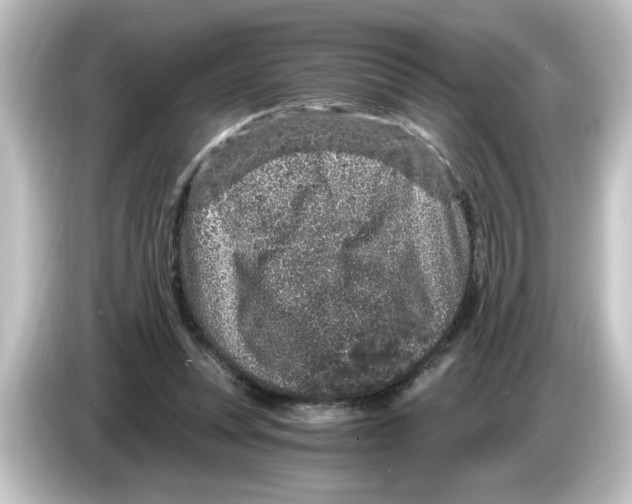 X0000084570351200703161727