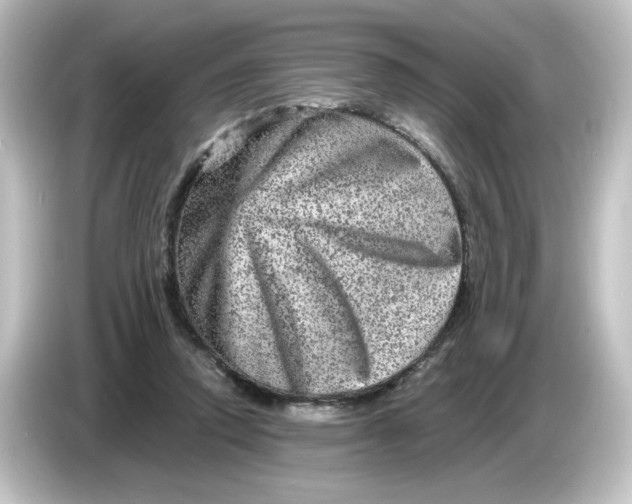 X0000084570354200703161727