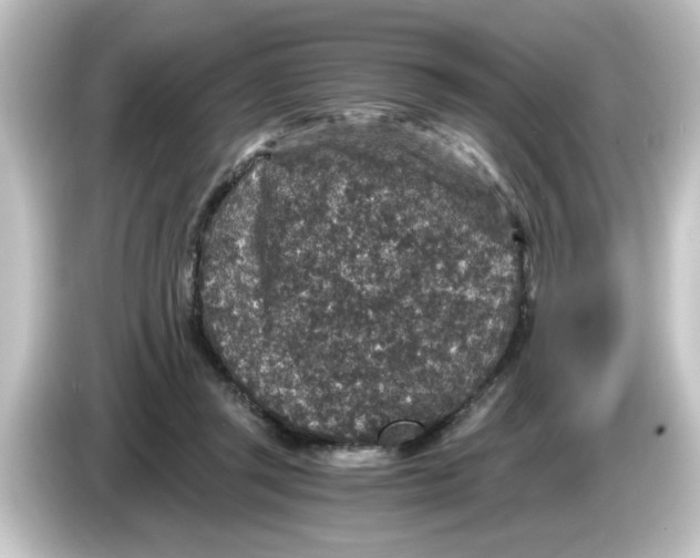 X0000084570357200703161727