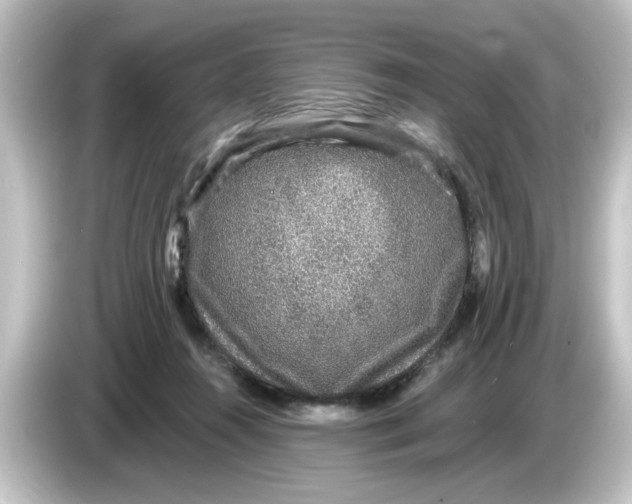 X0000084570360200703161727