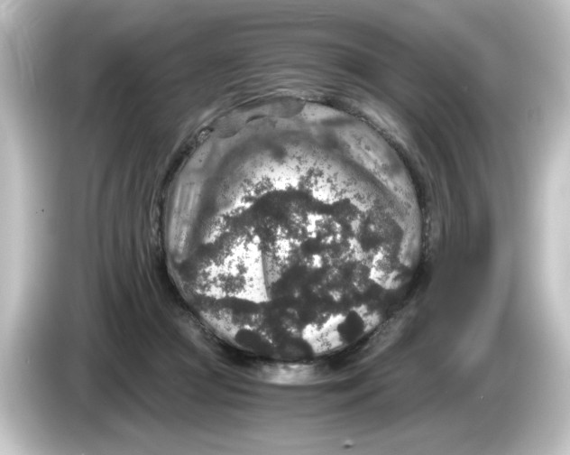 X0000084570361200703161727