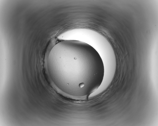 X0000084570362200703161727