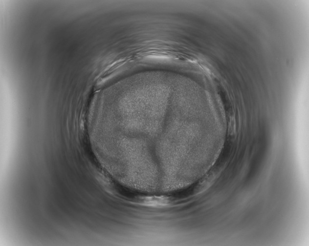 X0000084570363200703161727
