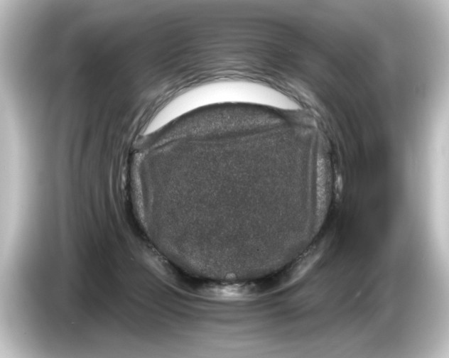 X0000084570365200703161727