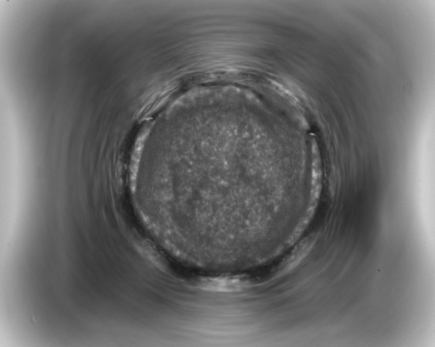 X0000084570366200703161727