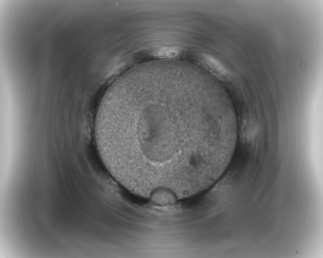 X0000084570370200703161727