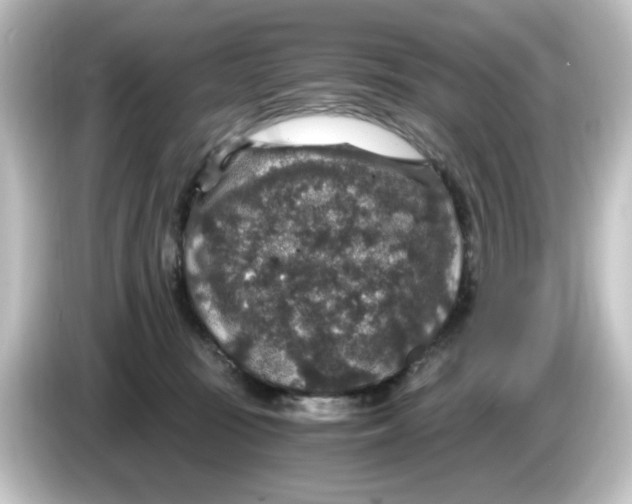 X0000084570371200703161727