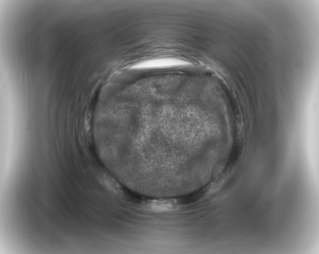 X0000084570373200703161727