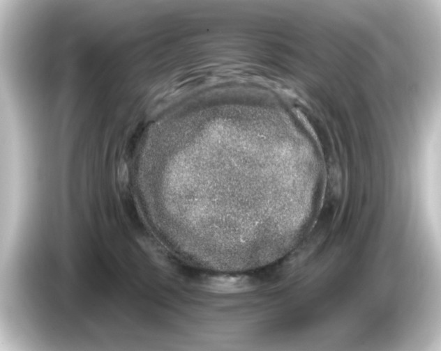 X0000084570375200703161727