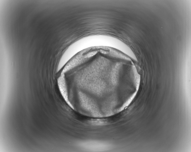 X0000084570378200703161727