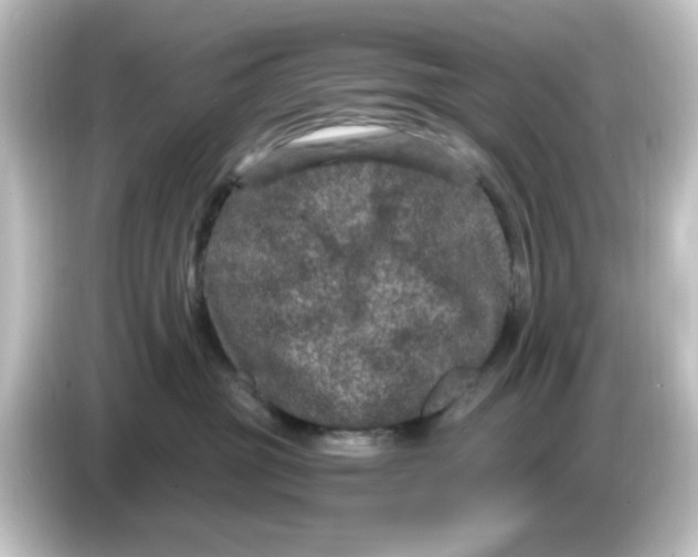 X0000084570381200703161727