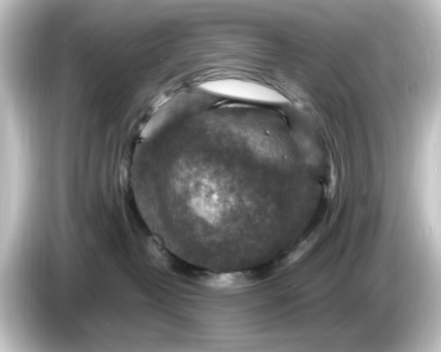 X0000084570382200703161727