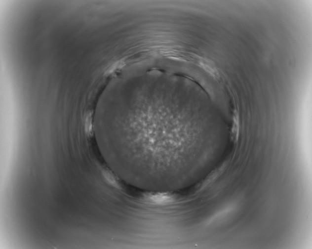 X0000084570383200703161727