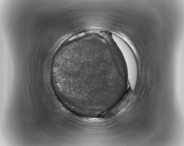 X0000084570385200703161726