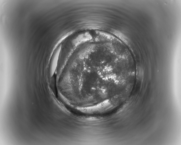 X0000084570390200703161726