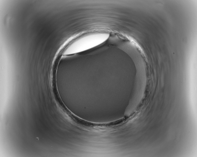 X0000084570391200703161726