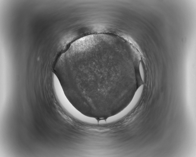 X0000084570393200703161726