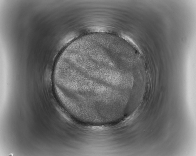 X0000084570394200703161726