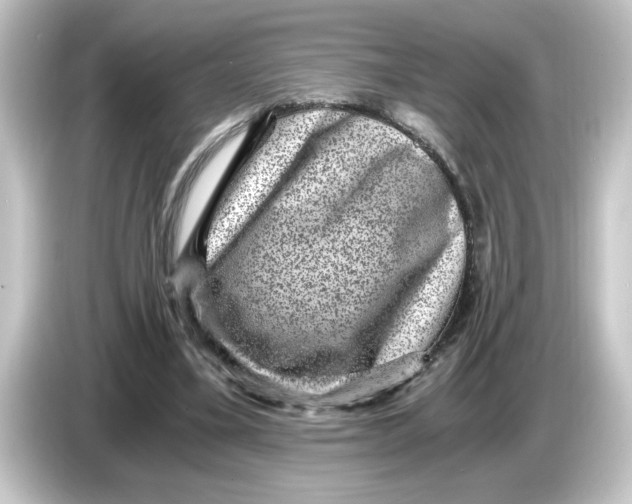 X0000084570395200703161726