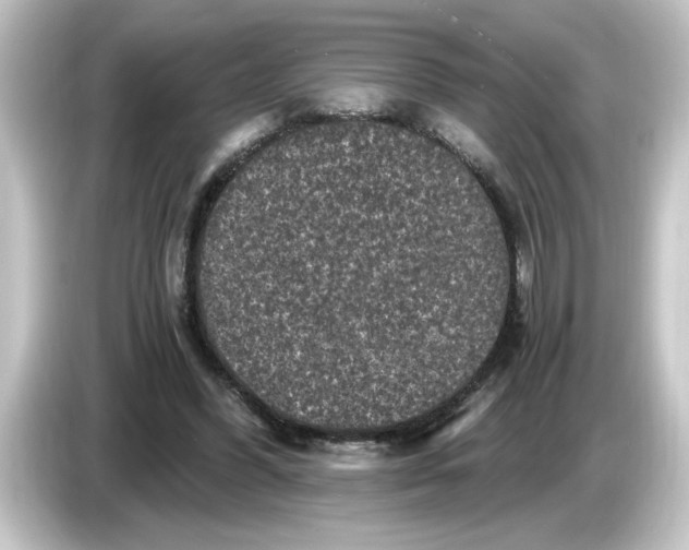 X0000084570396200703161726