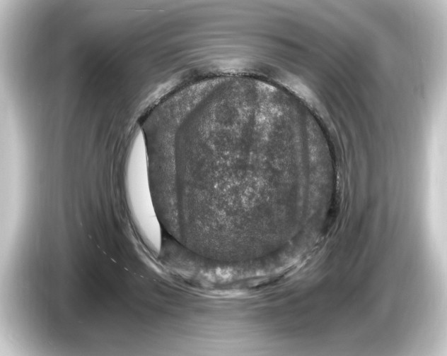 X0000084570397200703161726