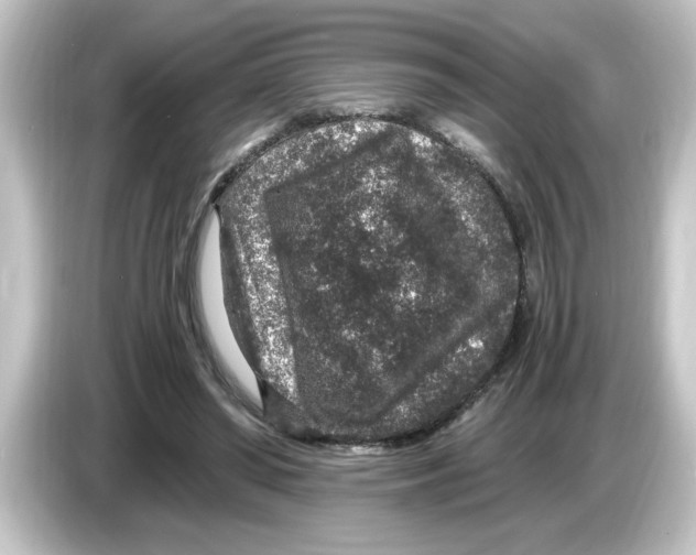 X0000084570398200703161726