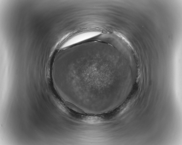 X0000084570399200703161726