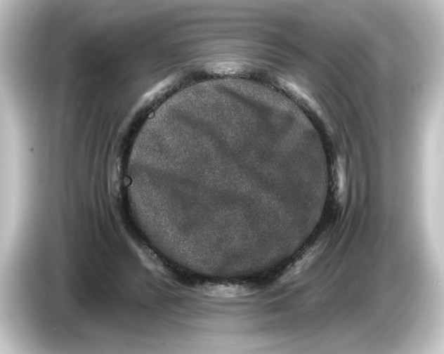 X0000084570400200703161726