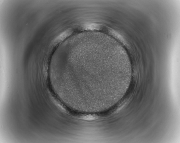 X0000084570402200703161726